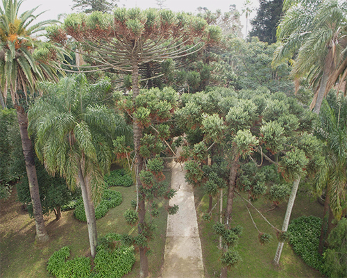 parque histórico vista aérea