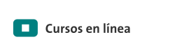 Acceso a información de cursos en línea del MEC