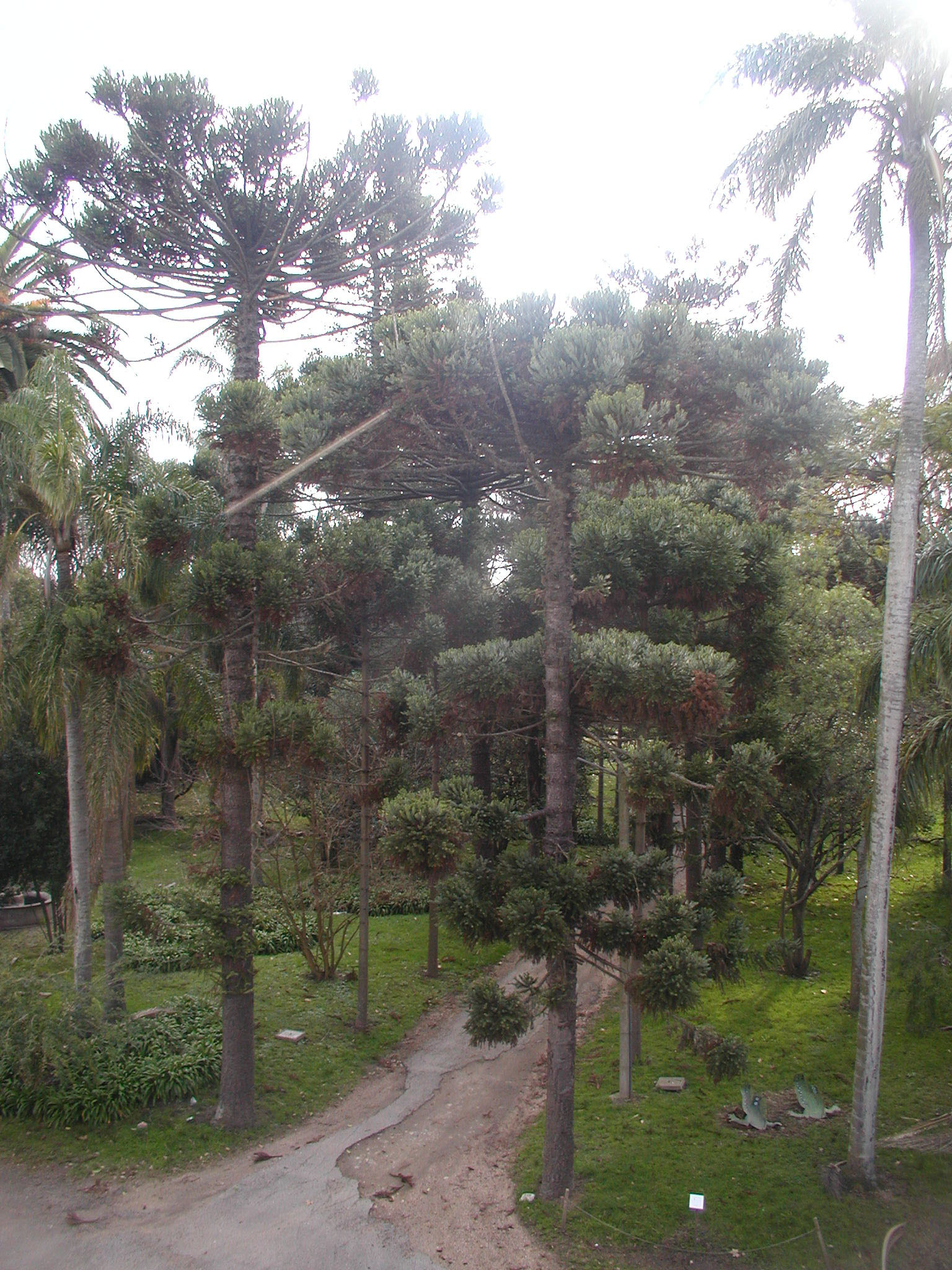 Vista aérea del parque