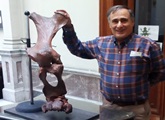 Donación de réplica de pata trasera de Glyptodon