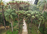 foto aerea del jardin
