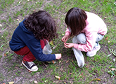 niños en el jardin recolectando hojas