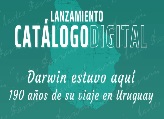 Catálogo, versión digital