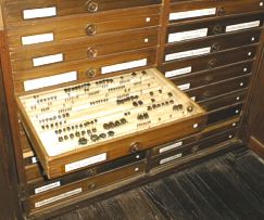 Caja de colecciones de Entomología