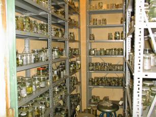 Vista parcial de la Colección de Anfibios