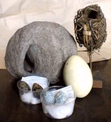 Muestra de la colección de nidos y huevos: nido de hornero, huevo de ñandú, nido de junquero del año 1895, huevos de tero (izq.) y huevos de pirincho (der.).