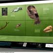 Exposición de la megafauna