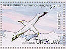 Albatros: Diomedea sp.