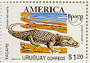 Yacaré: Caiman latirostris   