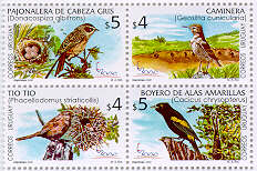 Aves del Uruguay: Donacospiza albifrons, pajonalera de cabeza gris; Geositta cunicularia, caminera; Phacellodomus striaticollis,  tío tío;  
