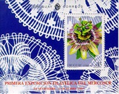 Burucuyá o pasionaria: Passiflora coerulea   