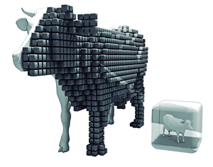 imagen de uno de los trabajos seleccionado para Intemperie 2015 imagen de uno de los trabajos seleccionado para Intemperie 2015